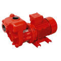 Bomba eléctrica de trasvase CG-900 gasolina