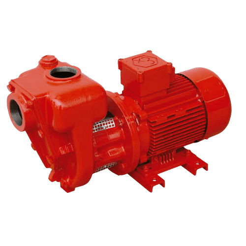 Bomba eléctrica de trasvase CG-900 gasolina