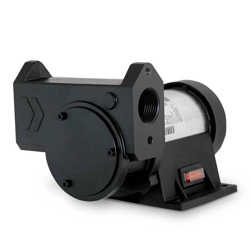 Bomba para transvase de gasoil y biodiésel IRON-50 12/24 V